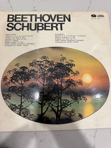 Beethoven ve Schubertin sinfonialari movcud vinil lalafo.az -da Beethoven ve Schubertin sinfonialari movcud vinil