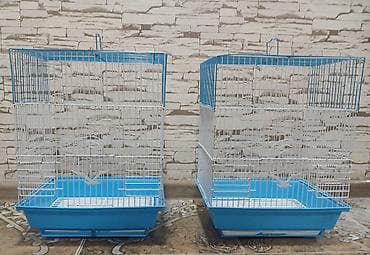 Qefesler 10 manata lalafo.az -da Qefesler 10 manata