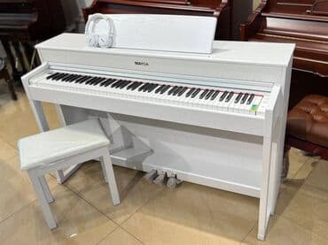 Fleytalar: Piano, Mayga, Rəqəmsal, Yeni, Pulsuz çatdırılma lalafo.az -da — 15 Fleytalar: Piano, Mayga, Rəqəmsal, Yeni, Pulsuz çatdırılma — 15