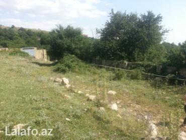 Tikinti, Mülkiyyətçi, Kupça (Çıxarış) lalafo.az -da Tikinti, Mülkiyyətçi, Kupça (Çıxarış)