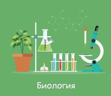 Repetitor, Biologiya, Rus dili, Abituriyent hazırlığı, İmtahanlara hazırlıq lalafo.az -da Repetitor, Biologiya, Rus dili, Abituriyent hazırlığı, İmtahanlara hazırlıq