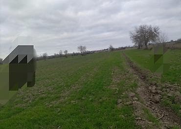 375 sot, Kənd təsərrüfatı lalafo.az -da 375 sot, Kənd təsərrüfatı