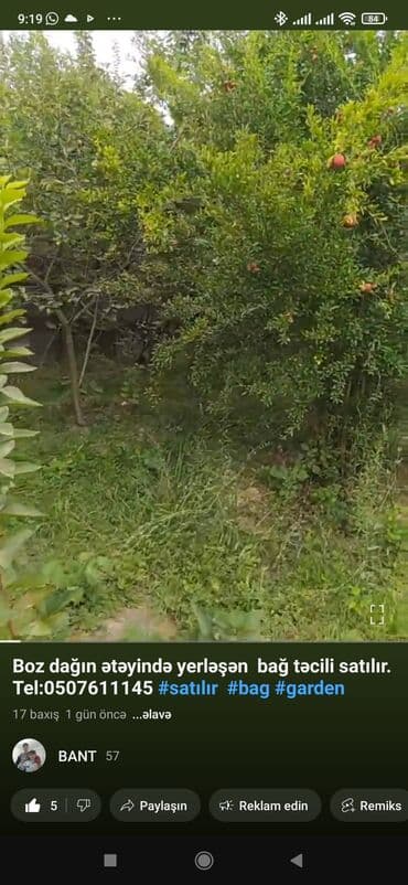 Kənd təsərrüfatı lalafo.az -da — 2 Kənd təsərrüfatı — 2