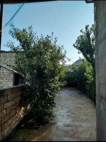 3 sot, Kənd təsərrüfatı, Bələdiyyə lalafo.az -da 3 sot, Kənd təsərrüfatı, Bələdiyyə