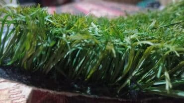 Искусственный газон: Süni ot örtükləri – qazon xalça - Qalınlıq: 26 mm-dən 40 mm-ə qədər at lalafo.az — 1 Искусственный газон: Süni ot örtükləri – qazon xalça - Qalınlıq: 26 mm-dən 40 mm-ə qədər — 1