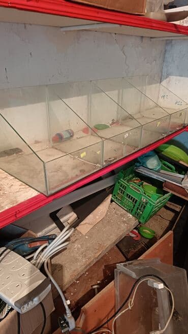 Şüşə vitrin –4 bölməli tezgah üstü displey. 4 ədəddir bir yerdə 100 lalafo.az -da Şüşə vitrin –4 bölməli tezgah üstü displey. 4 ədəddir bir yerdə 100