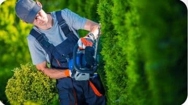 Bağban, 54 yaş, 6 ildən artıq təcrübə lalafo.az -da Bağban, 54 yaş, 6 ildən artıq təcrübə