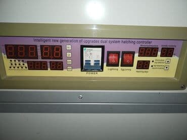 Экстракторы масла: 1056 yumurta tutumu var 5 rejimi var qaz ördək bildirincin hinduska at lalafo.az — 2 Экстракторы масла: 1056 yumurta tutumu var 5 rejimi var qaz ördək bildirincin hinduska — 2