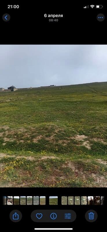 12 sot, Tikinti, Mülkiyyətçi, Kupça (Çıxarış) lalafo.az -da 12 sot, Tikinti, Mülkiyyətçi, Kupça (Çıxarış)