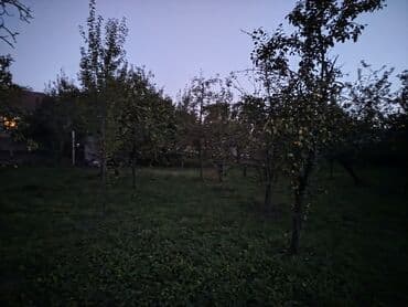 5 sot, Tikinti, Mülkiyyətçi, Kupça (Çıxarış) lalafo.az -da 5 sot, Tikinti, Mülkiyyətçi, Kupça (Çıxarış)