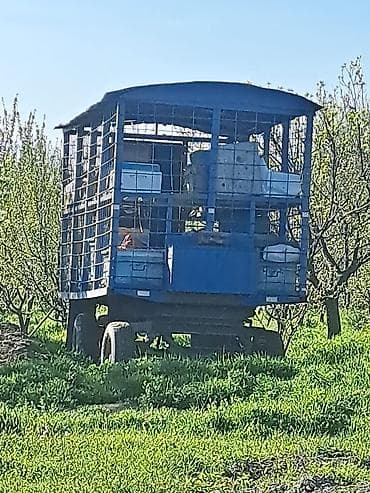 Sənədlidir, səyyar arıxana qoşqusu.Əlavə məlumat üçün zəng vurun lalafo.az -da Sənədlidir, səyyar arıxana qoşqusu.Əlavə məlumat üçün zəng vurun