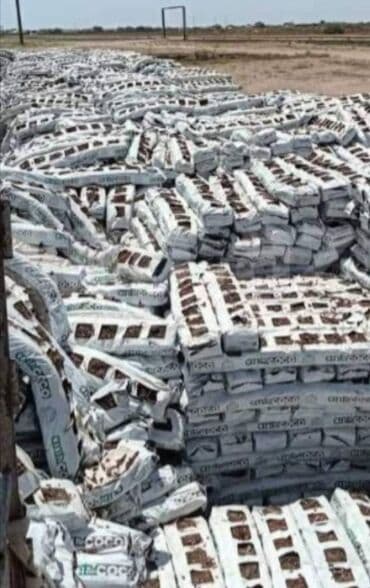 Бусы: Kakabitlər. COCO CHAMPION. Meşoku 40 qəpik. Meşokda 2 kq olur Əla at lalafo.az — 4 Бусы: Kakabitlər. COCO CHAMPION. Meşoku 40 qəpik. Meşokda 2 kq olur Əla — 4