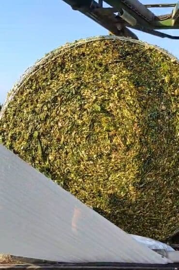 Yeni bicim Silos Gargadali packalarda 450 kf geder Sabirabad rayonu lalafo.az -da Yeni bicim Silos Gargadali packalarda 450 kf geder Sabirabad rayonu