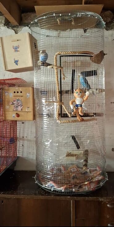 QƏFƏS SATILIR.BOYU 1-METRƏ YAXINDI ƏL İŞİDİR İÇİNDƏ YEM QABLARI VAR ƏL lalafo.az -da QƏFƏS SATILIR.BOYU 1-METRƏ YAXINDI ƏL İŞİDİR İÇİNDƏ YEM QABLARI VAR ƏL