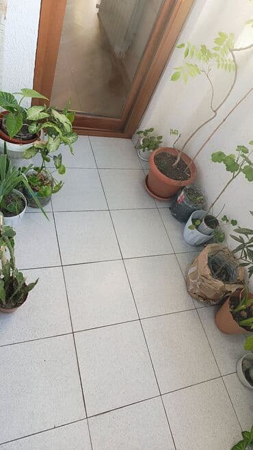 Кухонные краны: Перегородка, Прямоугольная at lalafo.az — 7 Кухонные краны: Перегородка, Прямоугольная — 7