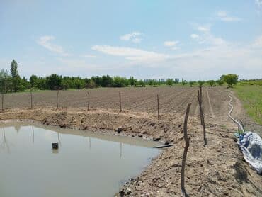 95 sot, Kənd təsərrüfatı, Mülkiyyətçi, Kupça (Çıxarış) lalafo.az -da 95 sot, Kənd təsərrüfatı, Mülkiyyətçi, Kupça (Çıxarış)