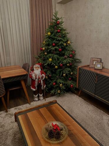 Yolka 280sm hundurluk Ela veziyyetdedi 330man satilir ustunde şaxta lalafo.az -da Yolka 280sm hundurluk Ela veziyyetdedi 330man satilir ustunde şaxta