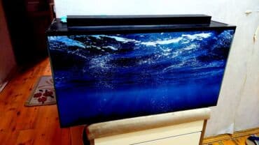 Dördbucaq akvarium, Boş, 150 l, Ünvandan götürmə lalafo.az -da Dördbucaq akvarium, Boş, 150 l, Ünvandan götürmə