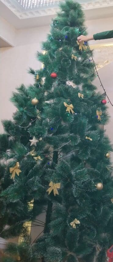 Naza 2🌹(9447) Endirim olundu 3 metrlik Yolka satılır təzədi oyuncaqla lalafo.az -da Naza 2🌹(9447) Endirim olundu 3 metrlik Yolka satılır təzədi oyuncaqla