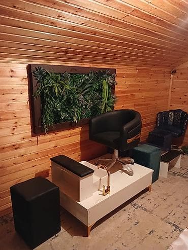 Salon mebelləri kreslolar dekorativ yaşılıq işləri yüksək keyfiyyətli lalafo.az -da Salon mebelləri kreslolar dekorativ yaşılıq işləri yüksək keyfiyyətli
