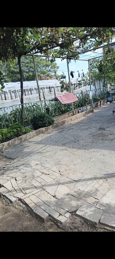 Теплицы: Bağ sahəsi və istixana kompleksi - Geniş həyət: beton örtüklü və at lalafo.az — 2 Теплицы: Bağ sahəsi və istixana kompleksi - Geniş həyət: beton örtüklü və — 2