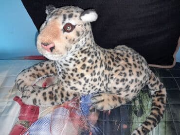 Məhsul: Yumşaq oyuncaq heyvanlar tezedir cevirin baxin - Leopard lalafo.az -da Məhsul: Yumşaq oyuncaq heyvanlar tezedir cevirin baxin - Leopard