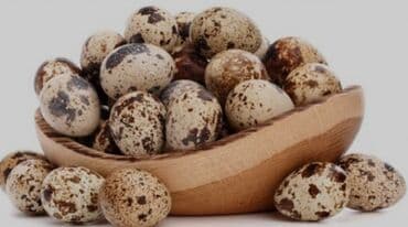 Bıldırcın yumurtası - Təbii xallı qabıqlı, kiçik ölçülü bıldırcın lalafo.az -da Bıldırcın yumurtası - Təbii xallı qabıqlı, kiçik ölçülü bıldırcın