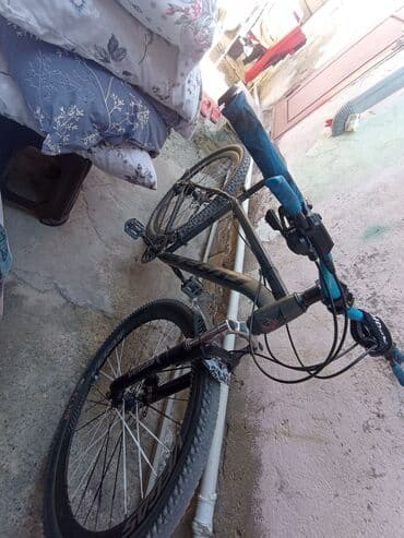 Problemi var ikidənən kask hədiyyə verilir qiymət 180 asaxi yeri lalafo.az -da Problemi var ikidənən kask hədiyyə verilir qiymət 180 asaxi yeri