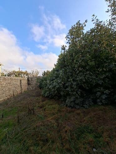 2 sot, Tikinti, Mülkiyyətçi lalafo.az -da 2 sot, Tikinti, Mülkiyyətçi