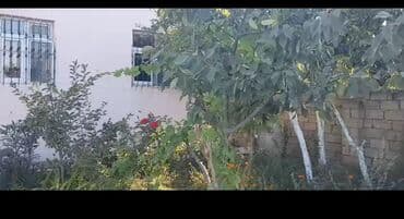 120 kv. m, 4 otaqlı, Kombi, Qaz, İşıq lalafo.az -da — 2 120 kv. m, 4 otaqlı, Kombi, Qaz, İşıq — 2