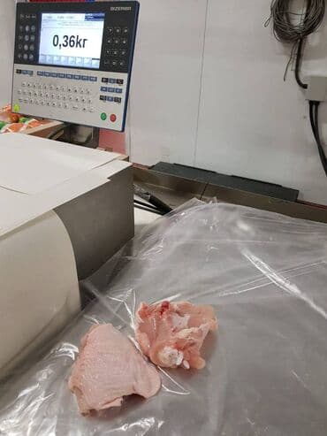 Рыба и морепродукты: Toyug BroylerKend ToyuguToyug Mehsullari Belarusiyadan,Ukraynadan at lalafo.az — 5 Рыба и морепродукты: Toyug BroylerKend ToyuguToyug Mehsullari Belarusiyadan,Ukraynadan — 5