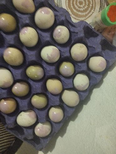 Məhsul: Təbii ev quşu yumurtaları (assorti rənglər) Təsvir: - lalafo.az -da Məhsul: Təbii ev quşu yumurtaları (assorti rənglər) Təsvir: -