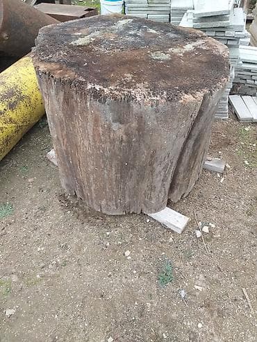 Digər məişət məhsulları lalafo.az -da Digər məişət məhsulları