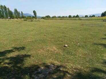 18 sot, Kənd təsərrüfatı, Mülkiyyətçi, Kupça (Çıxarış) lalafo.az -da 18 sot, Kənd təsərrüfatı, Mülkiyyətçi, Kupça (Çıxarış)