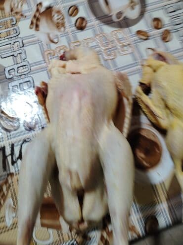 Kəsilib təmizləmiş Hinduşka və Qaz var satıq ördəy də var qazın təmiz lalafo.az -da Kəsilib təmizləmiş Hinduşka və Qaz var satıq ördəy də var qazın təmiz