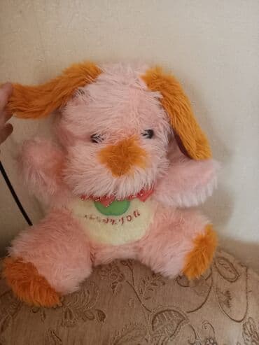 Mişka it. Hündürlüyü 45 sm. 8 manat lalafo.az -da Mişka it. Hündürlüyü 45 sm. 8 manat