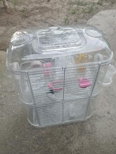 Balaca gəmiricilər üçün şüşəli/plastik vitrinli qəfəs-komplekt - lalafo.az -da Balaca gəmiricilər üçün şüşəli/plastik vitrinli qəfəs-komplekt -