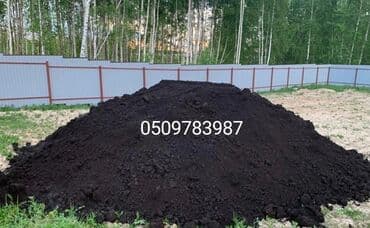 Другие растения: Qara torpaq İsmayıllı, Şamaxı, Mərəzə rayonları ərazisindən istəyə at lalafo.az — 4 Другие растения: Qara torpaq İsmayıllı, Şamaxı, Mərəzə rayonları ərazisindən istəyə — 4