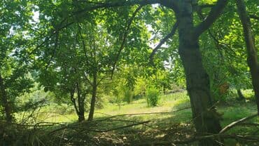 Great Wall: Tikinti, Mülkiyyətçi, Kupça (Çıxarış) lalafo.az -da — 5 Great Wall: Tikinti, Mülkiyyətçi, Kupça (Çıxarış) — 5