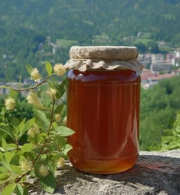 Hər növ balımız özünəməxsus dad və fayda ilə seçilir: 🌰 Şabalıd balı – lalafo.az -da Hər növ balımız özünəməxsus dad və fayda ilə seçilir: 🌰 Şabalıd balı –