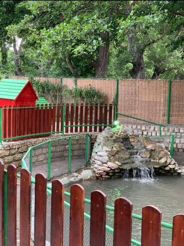 80000 kv. m, 4 otaqlı, Hovuzlu, Qaz, İşıq, Artezian quyusu lalafo.az -da 80000 kv. m, 4 otaqlı, Hovuzlu, Qaz, İşıq, Artezian quyusu