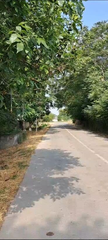 50 sot, Kənd təsərrüfatı lalafo.az -da 50 sot, Kənd təsərrüfatı