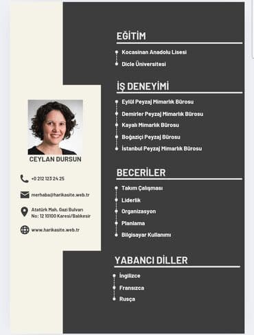 Profesional CV hazırlanması münasib qiymətə lalafo.az -da Profesional CV hazırlanması münasib qiymətə