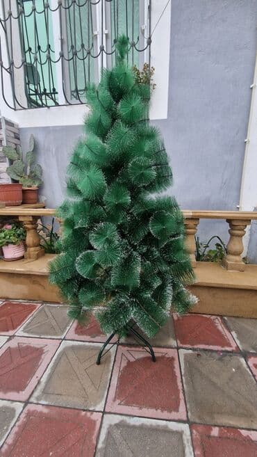 Yolka 150 sm .ela veziyyetde.cox ucuz qiymete.dolu yolkadi.ustunde 1 lalafo.az -da Yolka 150 sm .ela veziyyetde.cox ucuz qiymete.dolu yolkadi.ustunde 1