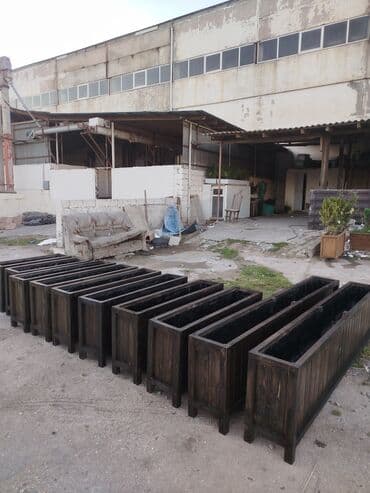 🇦🇿Bakı şəhəri üzrə Taxta dipçəklərin topdan və pərakəndə satış lalafo.az -da 🇦🇿Bakı şəhəri üzrə Taxta dipçəklərin topdan və pərakəndə satış