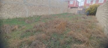 3 sot, Kənd təsərrüfatı, Maklerlər narahat etməsin, Kupça (Çıxarış) lalafo.az -da 3 sot, Kənd təsərrüfatı, Maklerlər narahat etməsin, Kupça (Çıxarış)