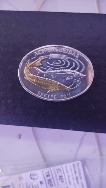 Kolleksiya üçün xatirə sikkəsi – Qazaxıstan Milli Bankı, 500 tenge. - lalafo.az -da Kolleksiya üçün xatirə sikkəsi – Qazaxıstan Milli Bankı, 500 tenge. -