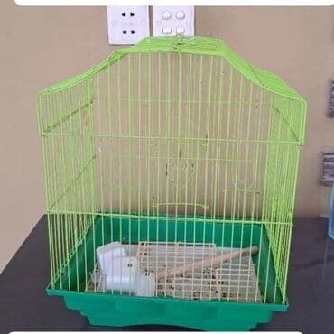 Qefes, boyuk olcudur. 22 man. Unvan Qala lalafo.az -da Qefes, boyuk olcudur. 22 man. Unvan Qala