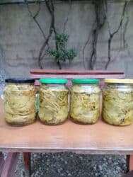 Соления: (üzüm yarpağı) – evdə hazırlanmış, duzlu suda konservləşdirilmiş at lalafo.az — 3 Соления: (üzüm yarpağı) – evdə hazırlanmış, duzlu suda konservləşdirilmiş — 3