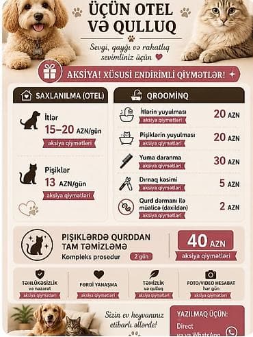 Heyvanlar üçün otel və qulluq xidməti BAYIL Sevimli ev heyvanınız at lalafo.az Heyvanlar üçün otel və qulluq xidməti BAYIL Sevimli ev heyvanınız